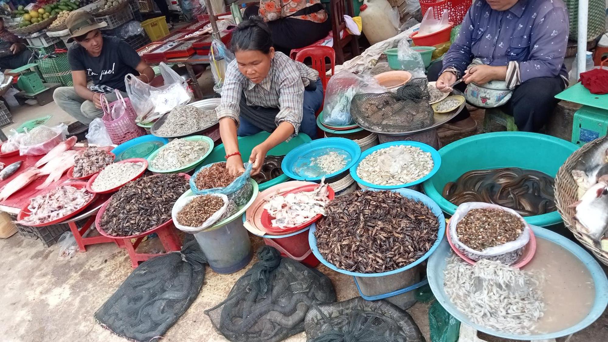 Kakrona Pouk Homestay Sziemreap Kültér fotó