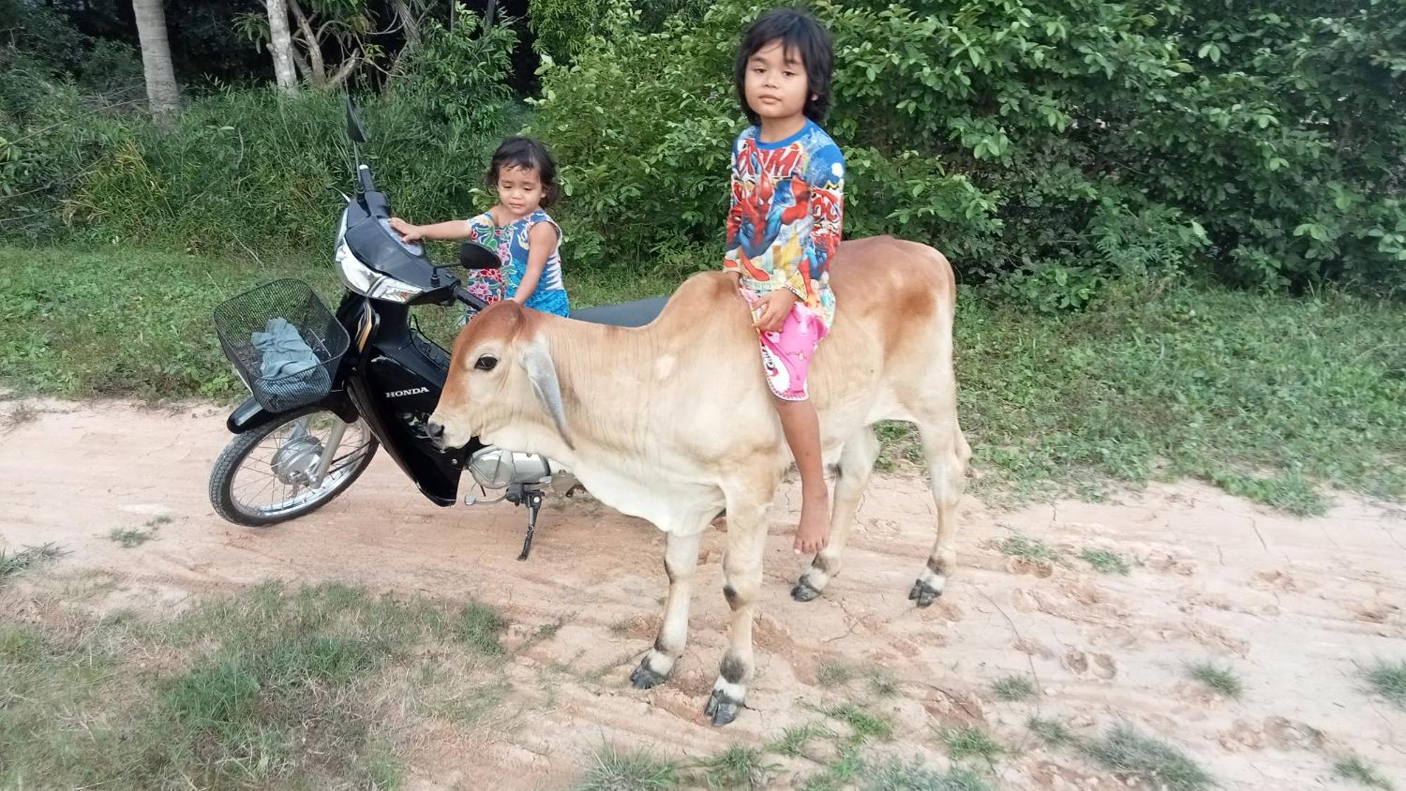 Kakrona Pouk Homestay Sziemreap Kültér fotó
